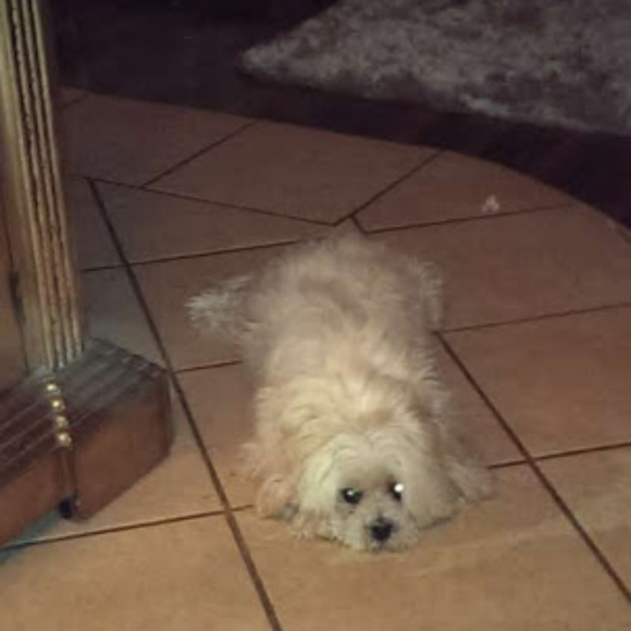 Meet your Posher, Neilly🌺 - Picture 5 of 6